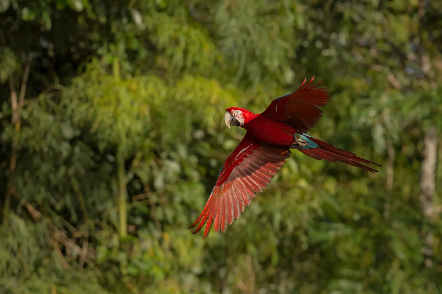 Guanacaste, Costa Rica