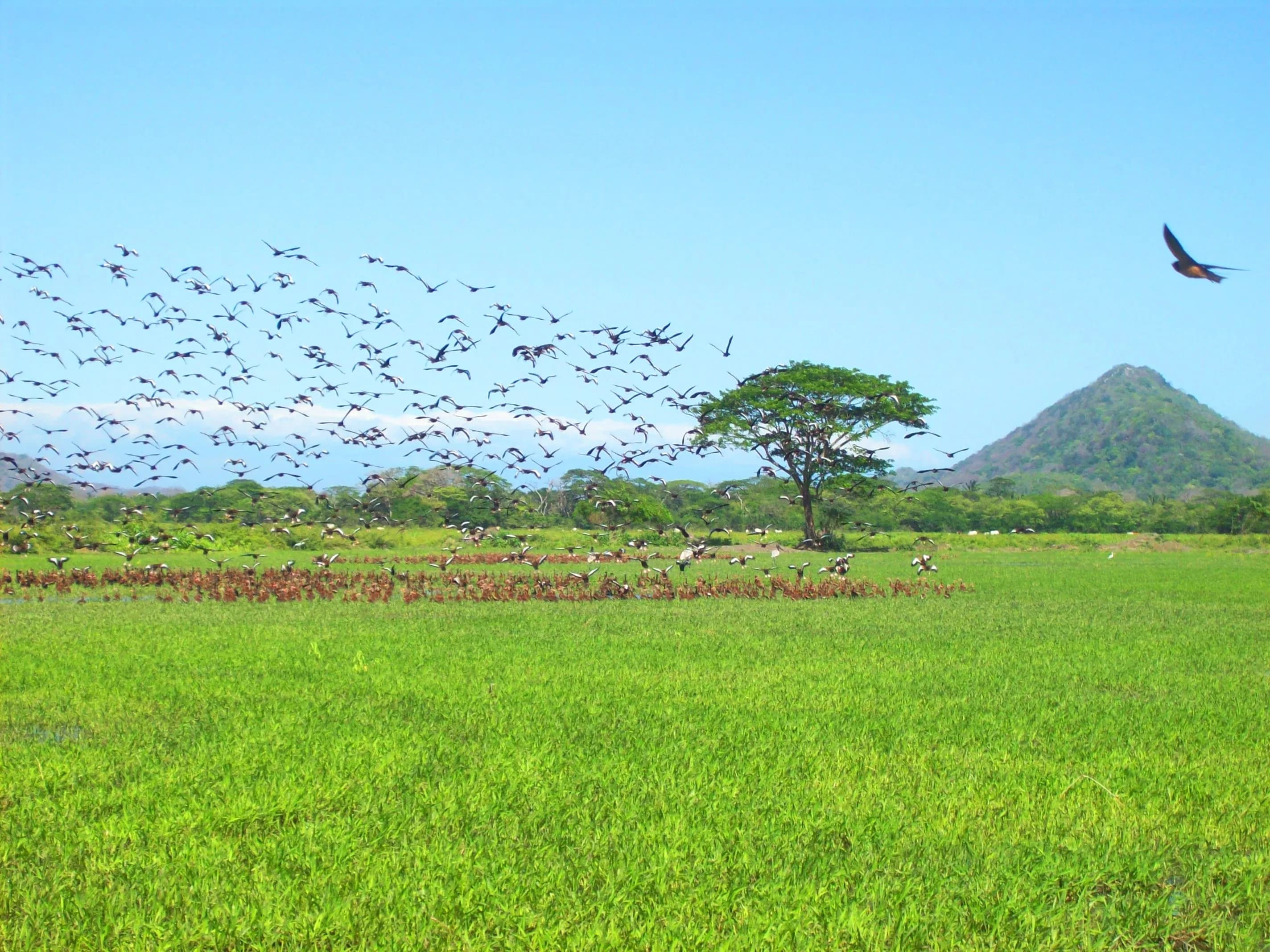 Guanacaste, Costa Rica