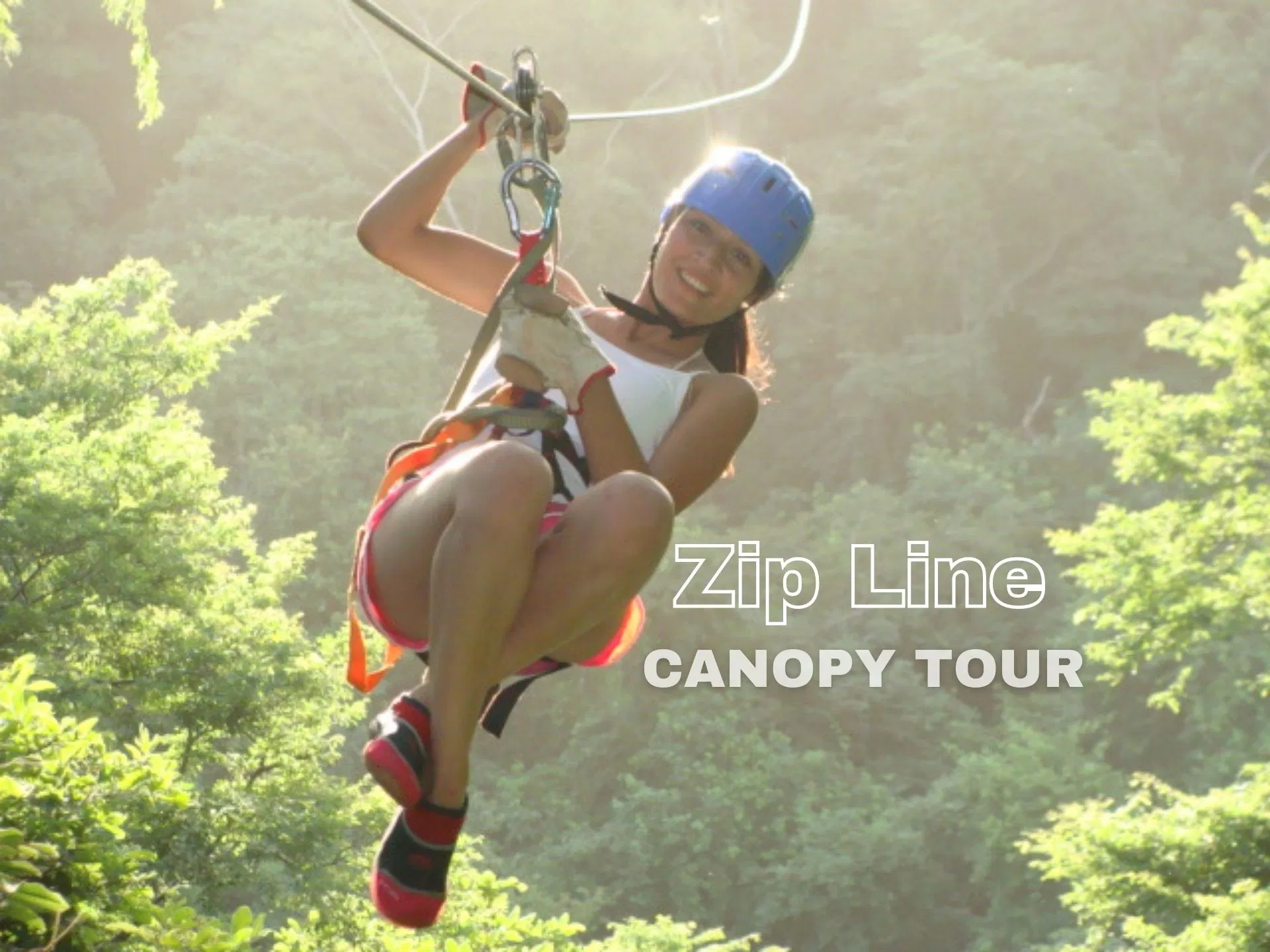 Dry Forest Canopy Tour – Guanacaste